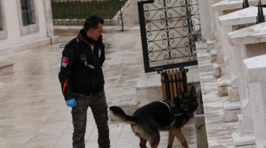 Sivas&rsquo;ta Baharın M&uuml;jdesi &lsquo;nevruz Bayramı&rsquo; Soğuk Ve Hafif Kar Yağışlı Havada Kutlandı.