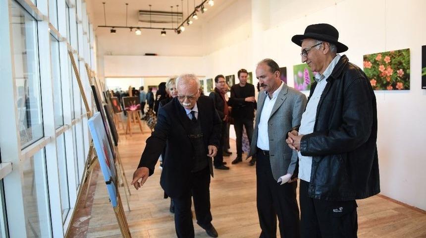 Fethiye&rsquo;de &rsquo;doğal &Ccedil;i&ccedil;ekler&rsquo; Kitabı Tanıtıldı