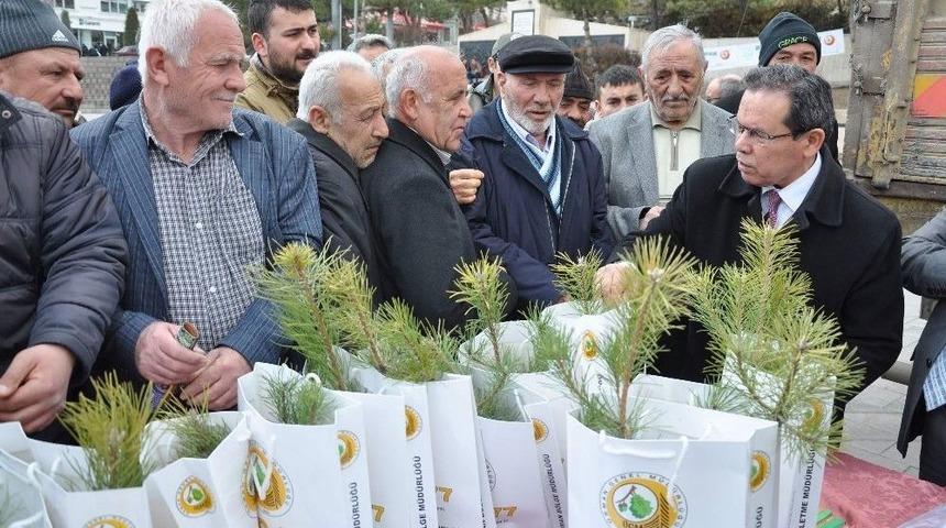 Yozgat&rsquo;ta 5 Bin Fidan Dağıtımı Yapıldı
