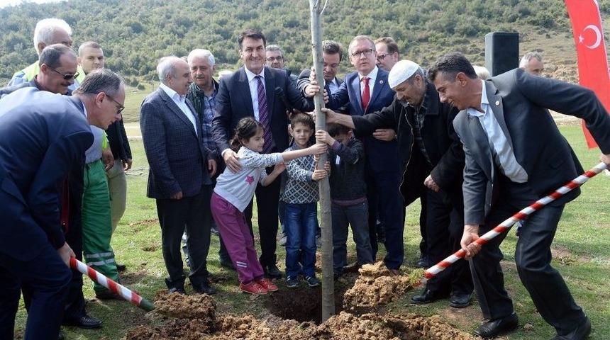 Osmangazi&rsquo;den 1 Milyon Fidan