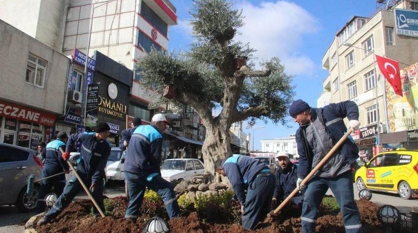Kilis&rsquo;te Kavşak Park Ve Ref&uuml;jlere &Ccedil;i&ccedil;ek Ekimi S&uuml;r&uuml;yor