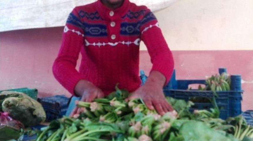 Ispanak &Uuml;reticisini &Uuml;zd&uuml;