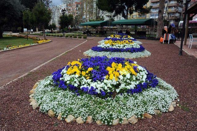 Kepez Belediyesi İlçeyi Çiçeklerle Donattı