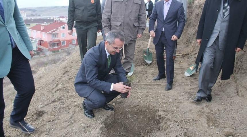 Tosya&rsquo;da Ormancılık Haftası Fidan Dikilerek Kutlandı