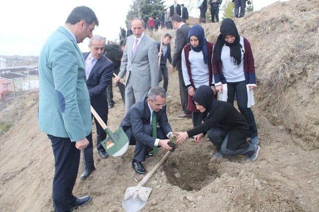 Tosya’da Ormancılık Haftası Fidan Dikilerek Kutlandı