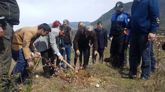 Anamur’da Nevruz Ve Ormancılık Günü Fidan Dikilerek Kutlandı