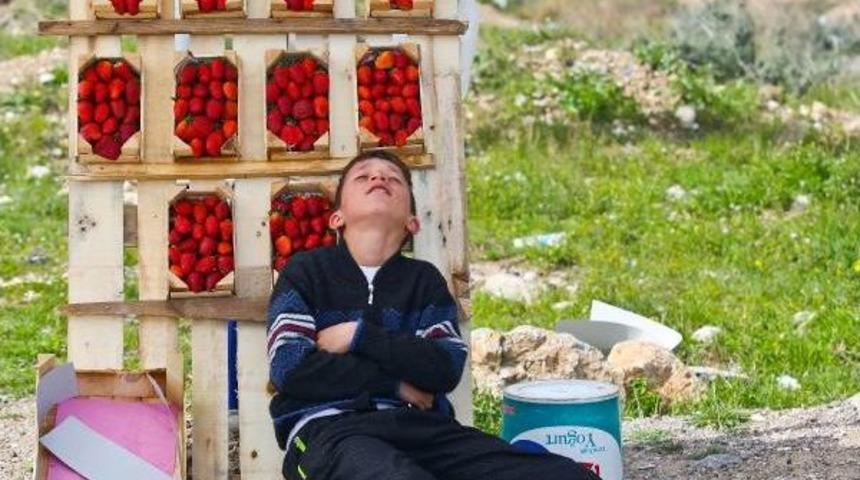 &Ccedil;ilek Tadında Şekerleme