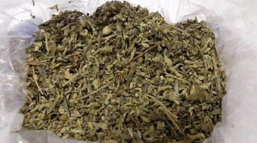 Amasya&rsquo;Da Bonzai Operasyonu: 2 G&ouml;zaltı