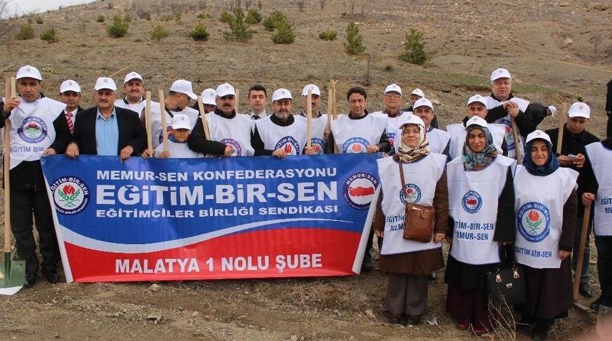 21-26 Mart Orman Haftası