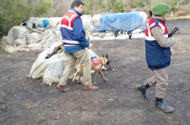 Drone Ile Yerleri Tespit Edilen Şüphelilere Operasyon