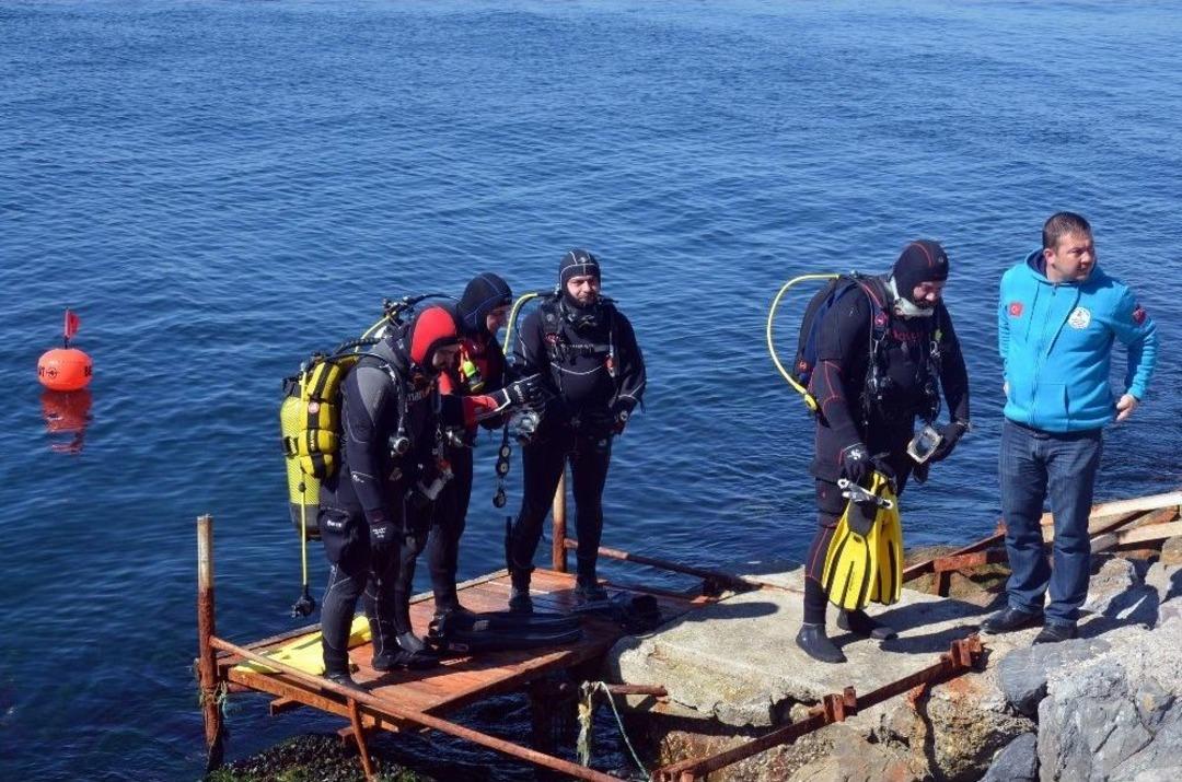 (&ouml;zel Haber) Denizden &Ccedil;ıkanlar Şok Etti