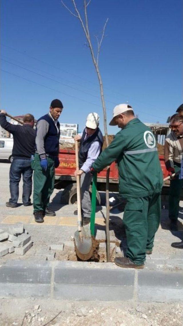 Edirne’de Hastane Yolu Renkleniyor