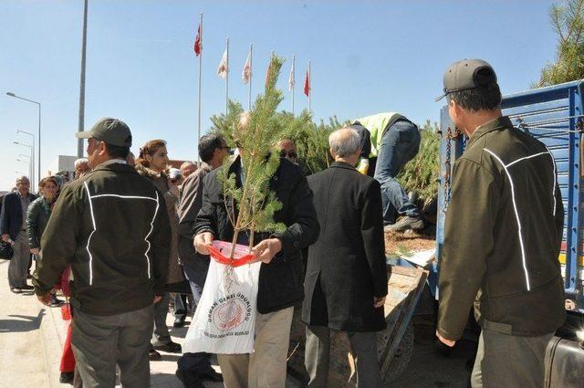 Orman Bölge Müdürlüğünden İlave Fidan Dağıtımı