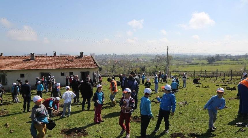 Atakum&rsquo;da Fidan Dikimi