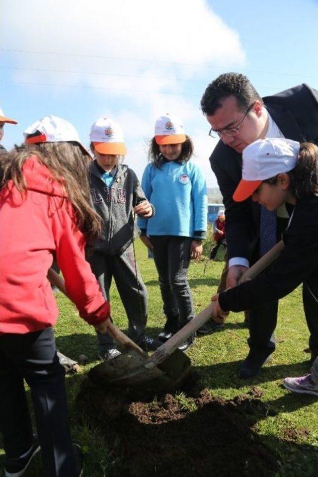 Atakum’da Fidan Dikimi