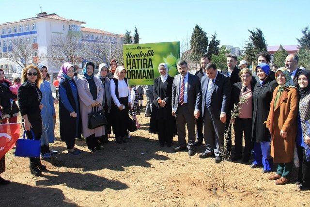 Mülteci Çocuklar Barışın Sembolü Zeytin Fidanlarını Toprakla Buluşturdu