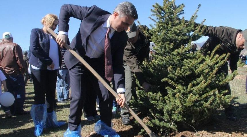 Bolu&rsquo;da 300 Adet Fidan Dikildi