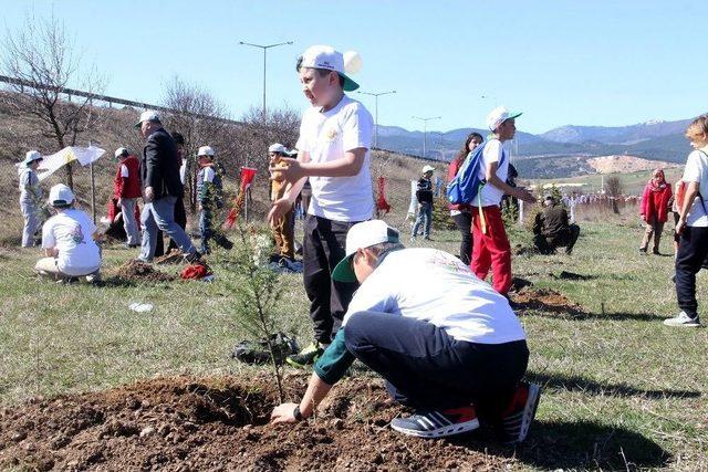 Bolu’da 300 Adet Fidan Dikildi