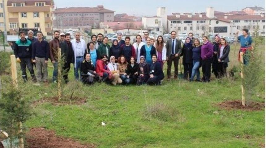 K&ouml;rfez Devlet Hastanesi&rsquo;ne 100 Adet Fidan Dikildi