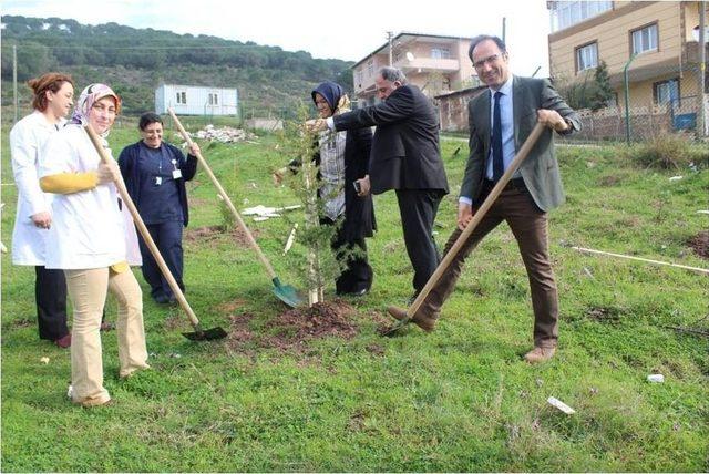 Körfez Devlet Hastanesi’ne 100 Adet Fidan Dikildi