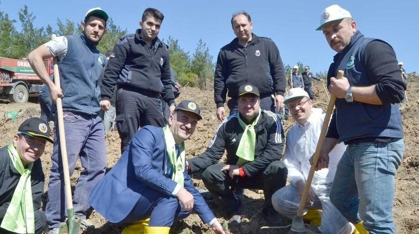 Gemlik&rsquo;teki Yangının Yaraları Sarılıyor