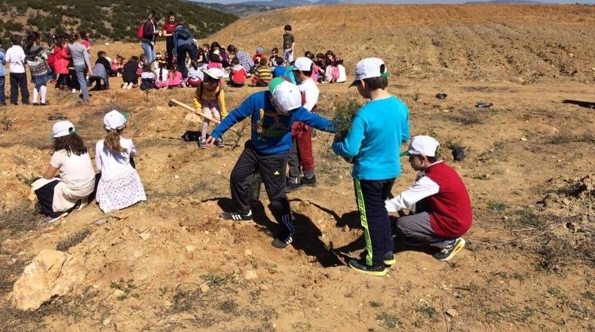 İlkokul &Ouml;ğrencileri 400 Adet Fidan Dikti