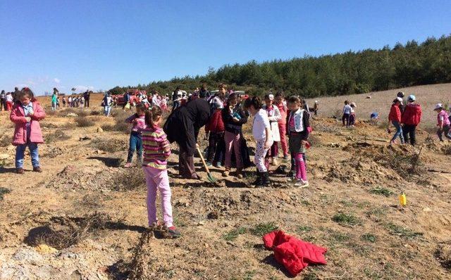 İlkokul Öğrencileri 400 Adet Fidan Dikti