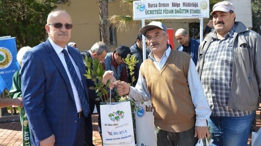 Orman Haftasında Fidan Dağıtıldı