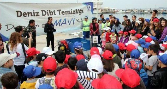 Turgutreis'te Deniz Dibi Temizliği