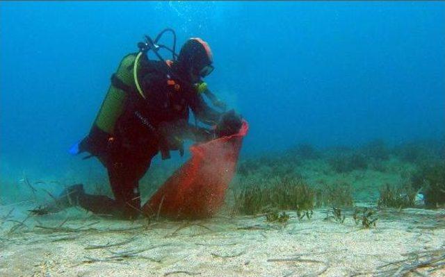 Turgutreis'te Deniz Dibi Temizliği