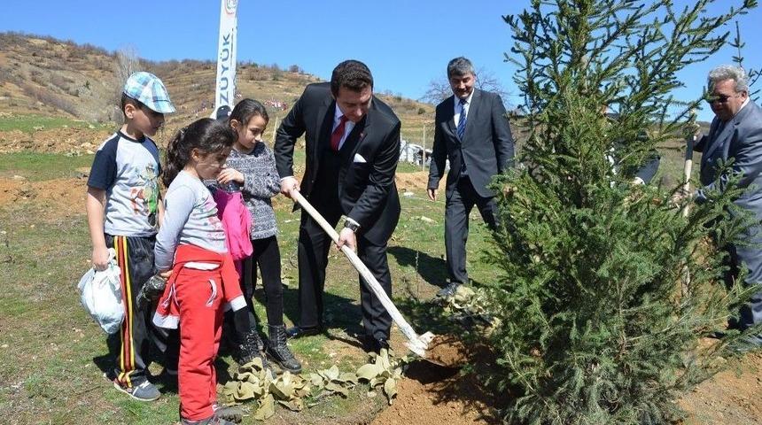 Boz&uuml;y&uuml;k&rsquo;te Orman Haftası&rsquo;nda 600 Fidan Toprakla Buluştu