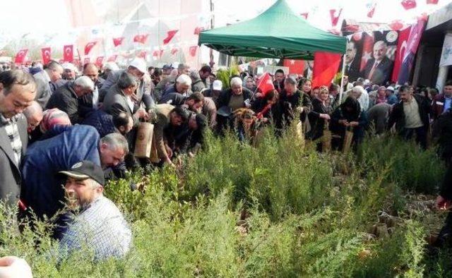 Bakan Eroğlu: Kılıçdaroğlu'na 'afyonkarahisar'da Kese, Sabun Dinlenirsin' Dedim (2)