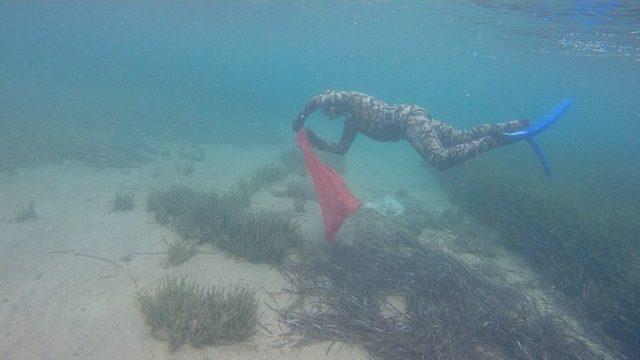 Dalgıçlar Deniz Altını, Çocuklar Plajı Temizledi