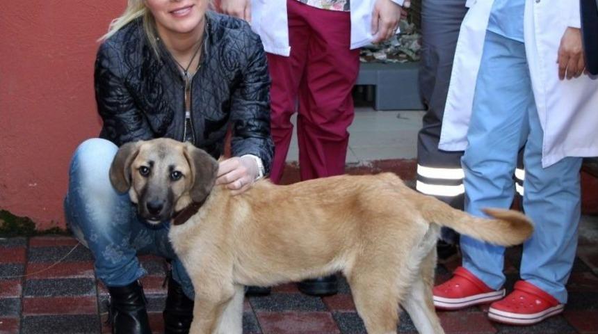 (&ouml;zel Haber) &Ouml;l&uuml;m&uuml; İki Kez Yenen &rsquo;kuyu&rsquo; Yeni Yuvasında