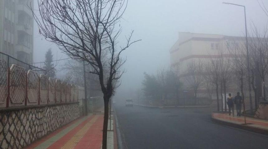 Siirt&rsquo;te Yoğun Sis