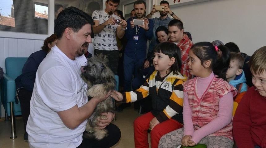 Engelli Bireylerin Hayvan Sevgisi