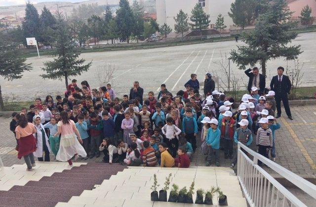 Atatürk İlkokulunda Orman Haftası Kutlama Etkinliği