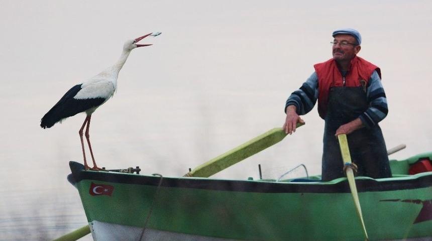 (&ouml;zel Haber) Leylek İle Bursalı Balık&ccedil;ının Hikayesi Film Oluyor