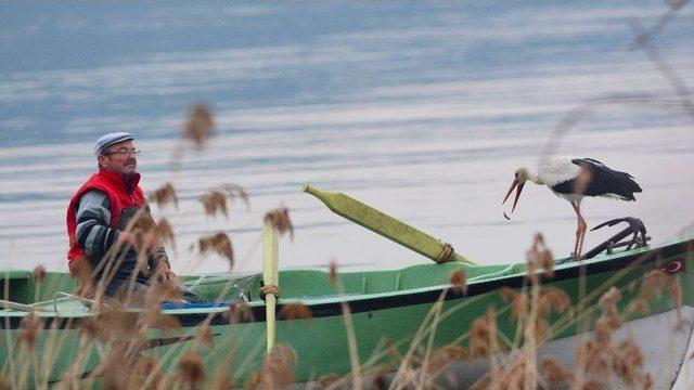 (özel Haber) Leylek İle Bursalı Balıkçının Hikayesi Film Oluyor