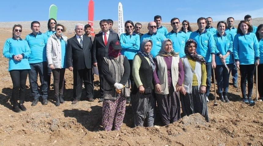 Medaş Personelinden Ağa&ccedil;landırmaya Destek