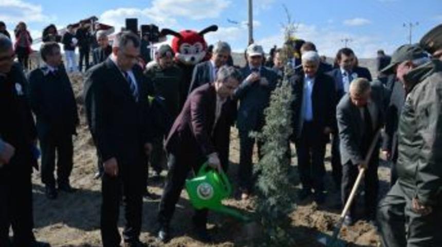 Amasya&rsquo;da 3 Yılda 30 Milyon Fidan Dikildi
