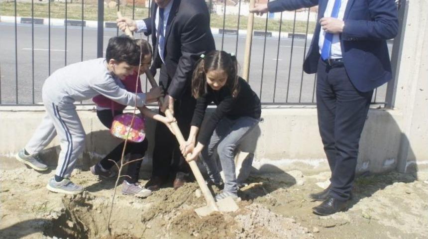 &Ouml;ğrenciler Hastane Bah&ccedil;esine Fidan Dikti