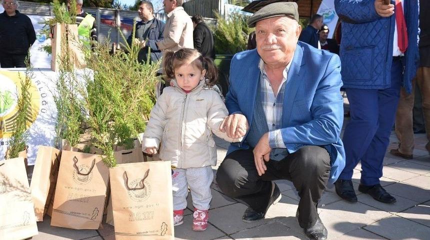 Orman Haftası&rsquo;nda &Ccedil;am Fidanı Dağıtıldı