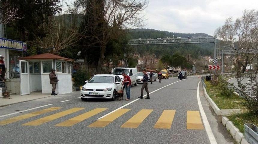 Uyuşturucu Turşu Kavanozuna Girdi