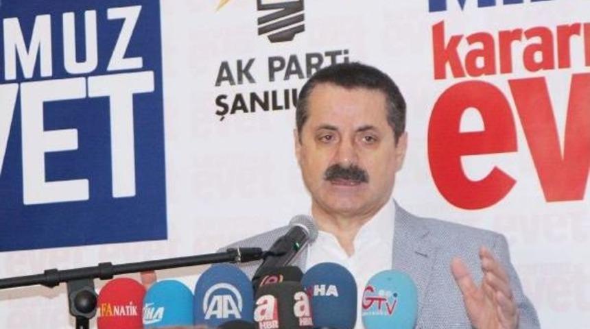 Bakan &Ccedil;elik: Adana'da Ekmekte Gdo Tespit Edilmedi