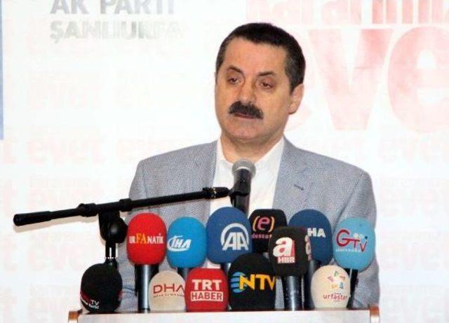 Bakan Çelik: Adana'da Ekmekte Gdo Tespit Edilmedi