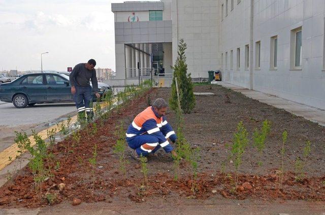 Kozan Devlet Hastanesi’nde Peyzaj Çalışması