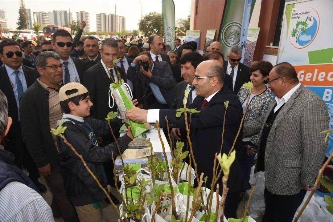 Vali Demirtaş: &ldquo;2017&rsquo;de 2 Milyon Fidan Dikmeyi Hedefliyoruz&rdquo;