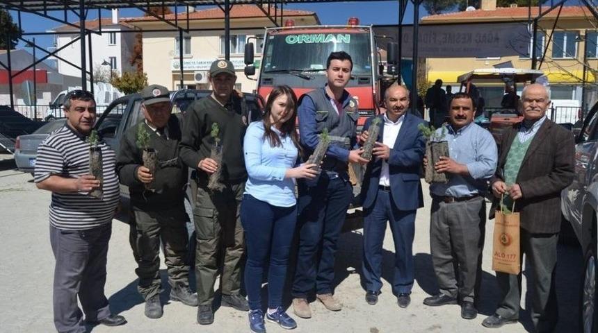 Selendi&rsquo;de 5 Bin Orman Fidanı Dağıtıldı