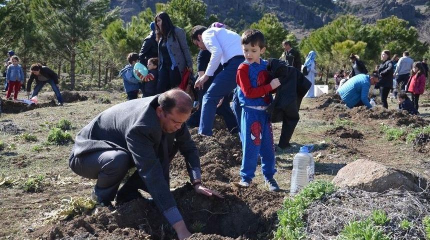 Osmancık&rsquo;ta Ana Okulu &Ouml;ğrencileri Fidan Dikti